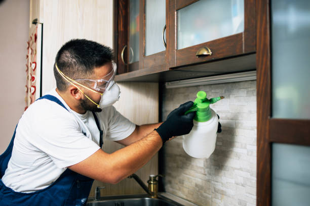 Flea Control Services in Gladstone, MO