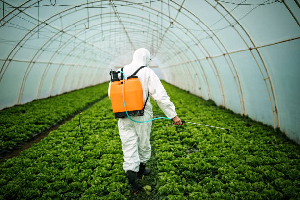 Best Pest Removal Services  in Gladstone, MO