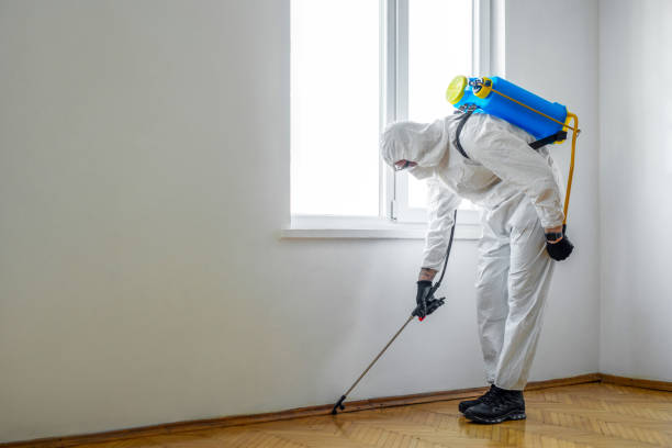Pest Prevention Services in Gladstone, MO