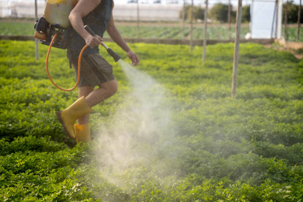 Best Pest Removal Services  in Gladstone, MO