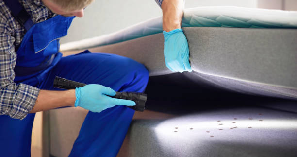 Best Affordable Pest Control Services  in Gladstone, MO