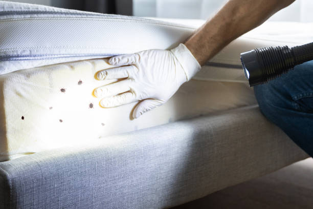 Best Best Pest Control Companies  in Gladstone, MO