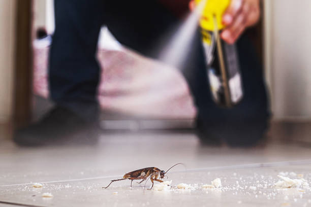 Best Best Pest Control Companies  in Gladstone, MO