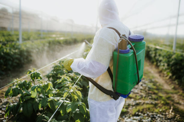 Best Bed Bug Extermination  in Gladstone, MO